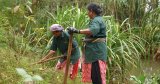 Eco India: How Kerala is leading the way in biodiversity conservation through localised efforts