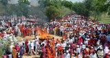 A conservationist studies lessons on sustainability from the 600-year-old Bishnoi community