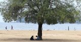 Hit by heatwave, Mumbai is ignoring a quick fix to cool off – keeping parks open in the afternoon