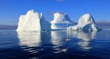 How A Melting Iceberg Is Reshaping Marine Ecosystems