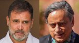 Rahul, Tharoor thaw on TNIE column