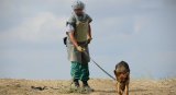 ANAMA continues demining work - report says 1,157 hectares free of mines