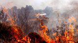 13,479 and 18,174 forest fires detected in Telangana and AP: MoEFCC