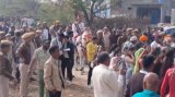 With 200 Cops As Security, Dalit Groom Rides Horse To Bride's House