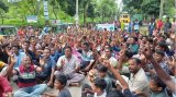 More than 11,000 tea workers strike over unpaid wages, halt work in 12 NTC gardens