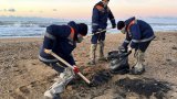 Crimean officials declare emergency as oil spill reaches Sevastopol