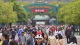 What Hong Kong tourism can learn from Disneyland’s magical turnaround