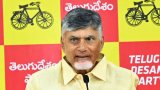 AP SIPB approves 15 projects with ₹44,776 cr investment to generate 19,580 jobs