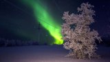 Flash in the Night: Who Will See the Northern Lights on New Year’s Eve?