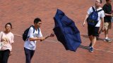 Storm Trami: Hong Kong to issue T1 warning between Thursday midnight and 3am on Friday