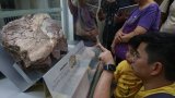 Hong Kong dinosaur fossil show opens on Friday, chance to see experts at work