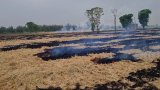 14 farmers arrested in Haryana's Kaithal for stubble burning