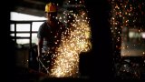 US tariffs will not impact much Indian steel industry: Steel Secretary