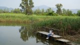 Hong Kong developer will return part of wetland site to government management: report