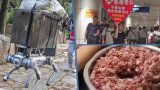 China snapshot news: robot dog porter, Hong Kong husband sought, stinky ‘nutritious’ lunches