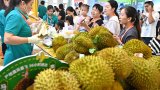 China’s growing appetite for durian spurs market innovations