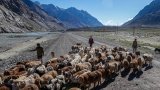 China’s idyllic Xinjiang grasslands hid a salty soiled secret that’s been solved