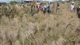 Hong Kong’s Long Valley Nature Park opens to public after habitat restoration