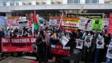 Protests in New York in support of Gaza hospital director