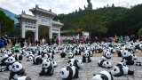 HK$923,700 raised in charity sale of panda sculptures in Hong Kong