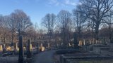 Sweden embarks on sober search for more cemetery space in event of war