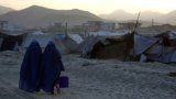 Taliban orders NGOs to fire female workers