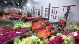 West tried to deprive Russian women of flowers – PM