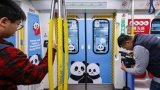 Hong Kong’s MTR rides city’s bear craze with launch of panda-themed trains