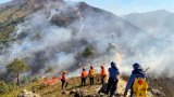 Hill fire in Hong Kong under control after burning for over 17 hours