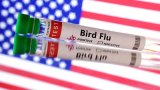 First US bird flu death announced in Louisiana