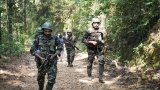 12 Naxalites killed in encounter with security forces in Chhattisgarh's Bijapur district