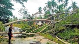 Visayas, Mindanao show wide impact of Kristine