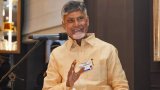 AP destined to become a Green Energy Hub with $115 bn investments, says CM Naidu at Davos