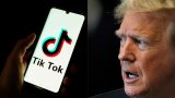 TikTok pushes US Supreme Court to rule that divest-or-ban law is unconstitutional; Trump weighs in