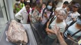 Hong Kong dinosaur fossil exhibit debuts to fanfare, but some say showcase lacks context