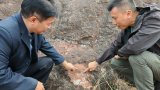 Hong Kong tourists find 6 dinosaur egg fossils on Guangdong trip