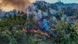 Hillside fire in northern Hong Kong still burning after 24 hours