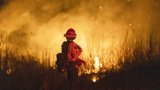 LA mayor sacks fire chief over handling of worst wildfire in city history