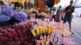 ‘Devoid of character’: vendors criticise plan to revamp Hong Kong flower market