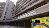 Hong Kong worker dies after falling from ladder in Jardine’s Lookout