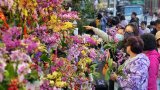 Hong Kong flower market may lose ‘spirit’ in revamp, board members fear