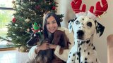 Hong Kong police investigating after dogs owned by ex-beauty queen poisoned