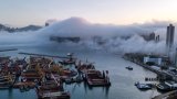 Thick fog blankets Hong Kong’s famed skyline, with visibility plunging