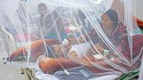 Dengue claims 3 more lives