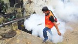 Four more die of dengue