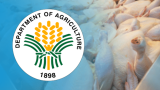 DA agency refining chicken import policy amid bird flu worries