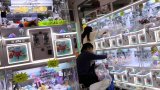 Claws celebre: claw machine complaints spike as Hongkongers struggle to get a grip