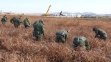 Investigators seek clues to fatal South Korea plane crash in cockpit transcript