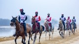 Mohammed bin Rashid Al Maktoum Endurance Festival set for 18 February