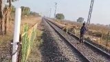 Video: Forest Department Guard Chases Lion Away From Rail Track